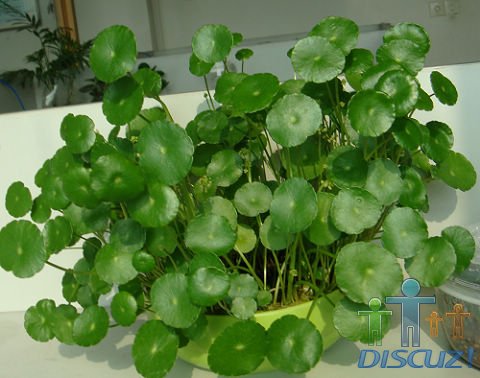 ǮǮ���û�ܣ�ͬ�·ֹ��������Σ���Ȼ�����дС�