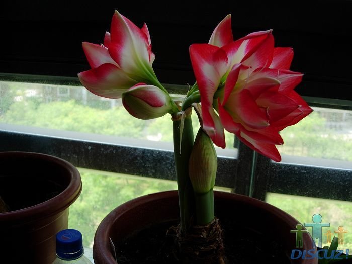 DSCN5216.JPG