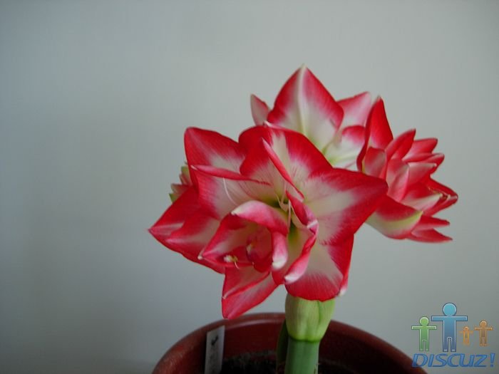 DSCN5218.JPG