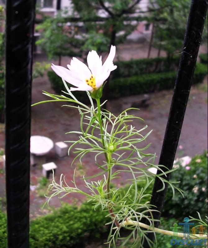 DSCN0443.JPG