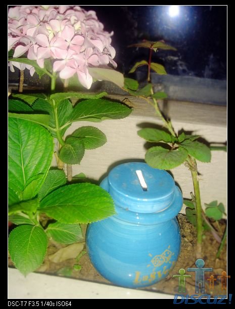 ��ɫ�ġ��е���죬��Ϊ�������ĵģ���Ƭ�����ǲ��е�