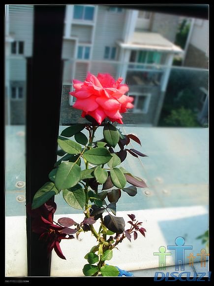 DSC02104.jpg