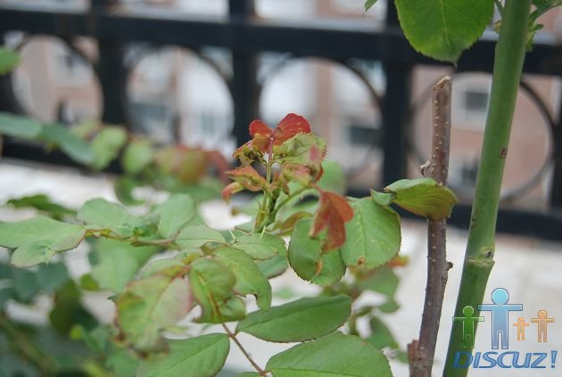 DSC_0167.jpg