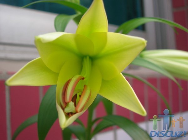 ��ɫ�е�ƫ��ɫ�����ֻ�,��֪Ʒ��