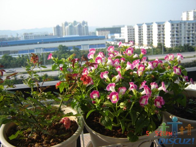 ������ 013.jpg