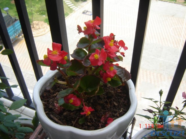 ������ 001.jpg