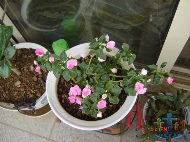 ������ 014.jpg