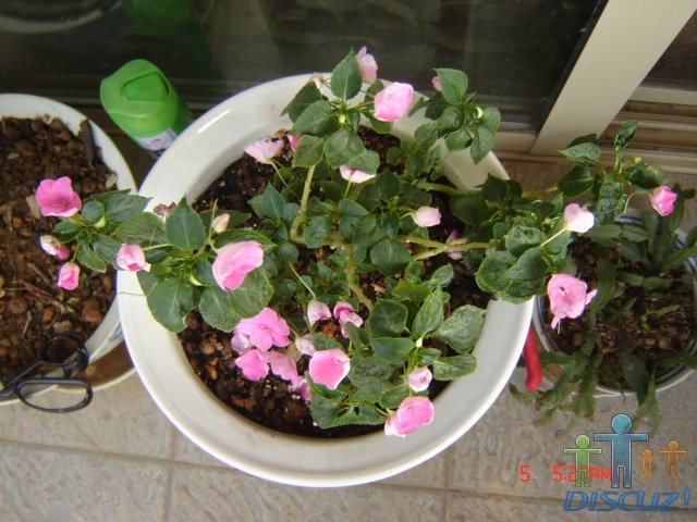 ������ 015.jpg