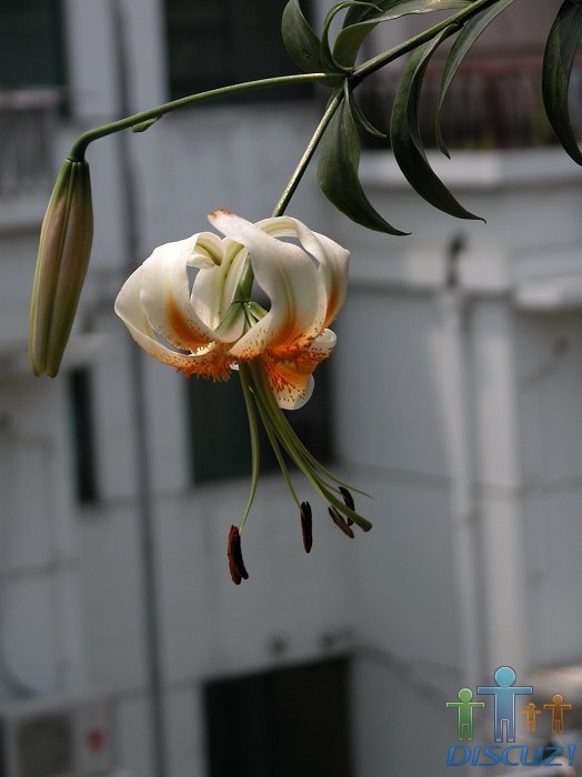 DSCN0369.jpg