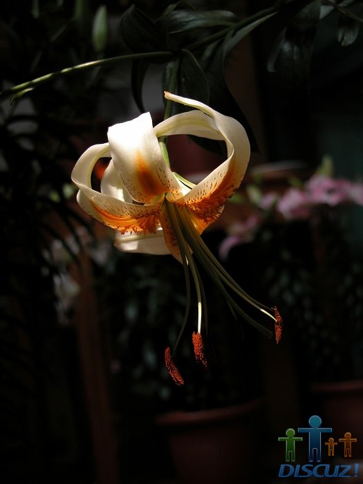 DSCN0362.jpg