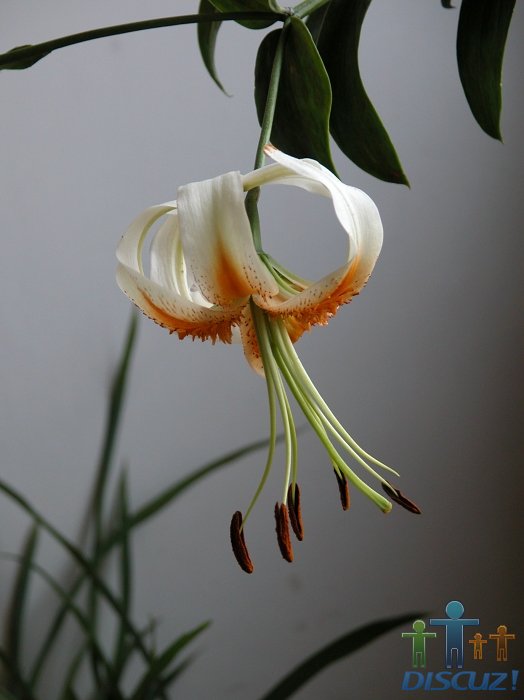 DSCN0365.jpg