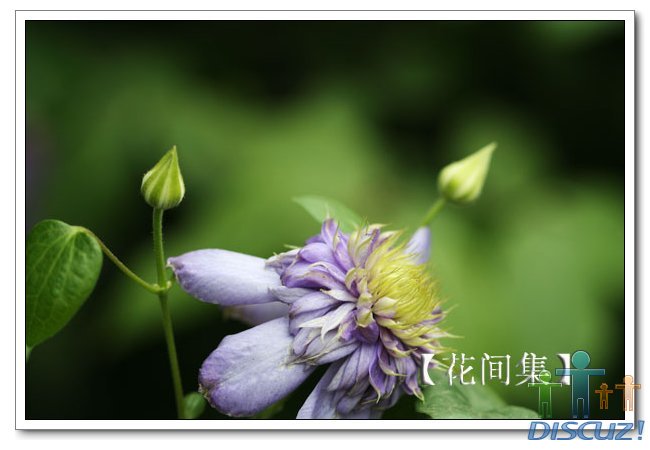 IMG_6240 ����.jpg