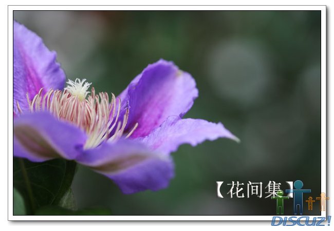 IMG_6286 ����.jpg