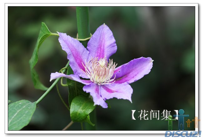 IMG_6278 ����.jpg