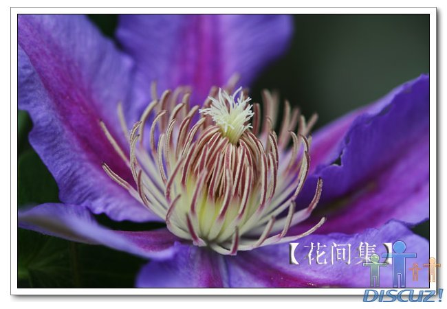 IMG_6280 ����.jpg