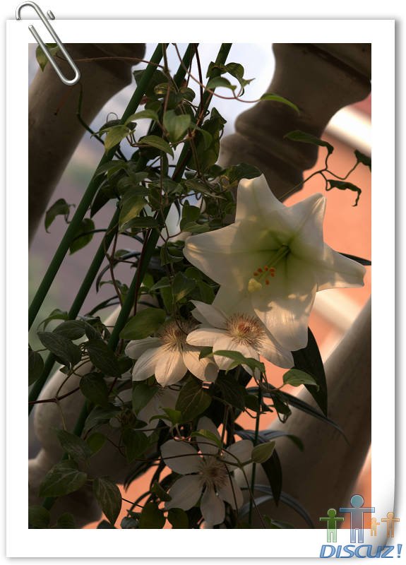 �װٺϼ�������.jpg