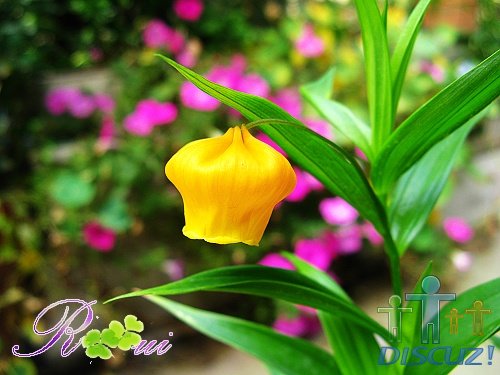 ���ưٺ� 16.jpg