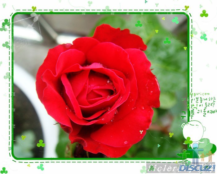 �����Ӻ��