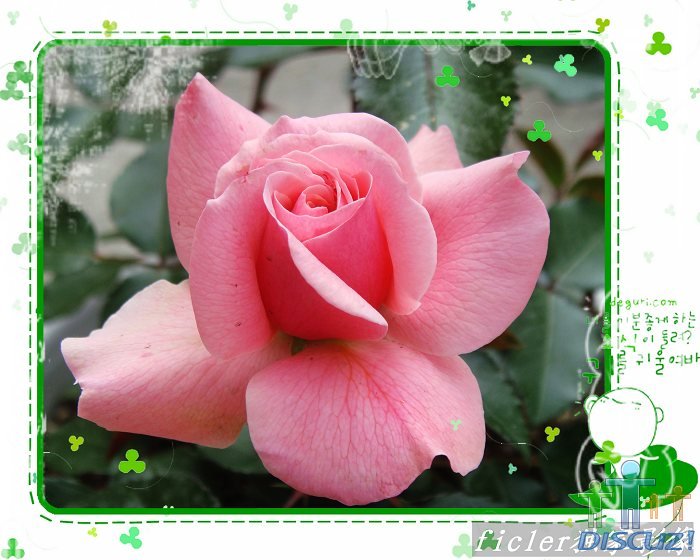 �����Ӳ�������