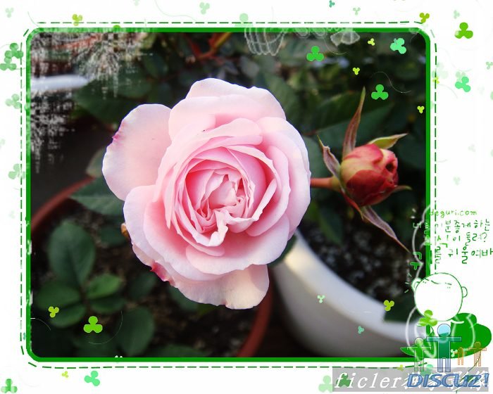 İ��÷�����ɷ���