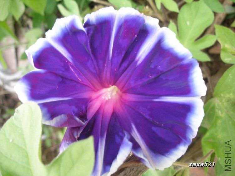 �о�����ʿ֮��