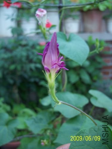 ������� 123.jpg