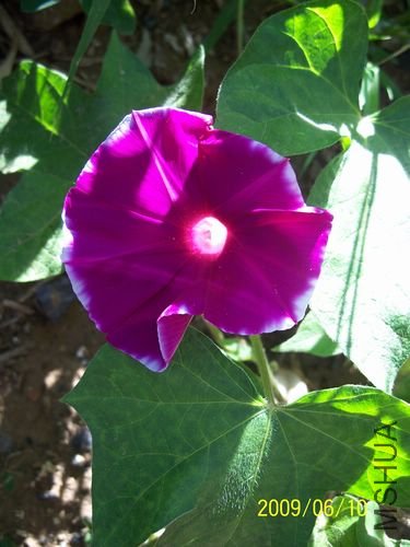 õ��ױ� 131.jpg