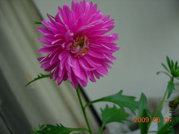 DSCN5282.JPG