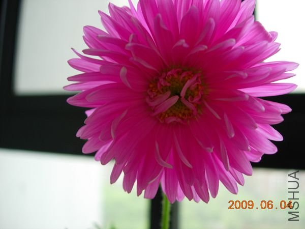 DSCN5281.JPG