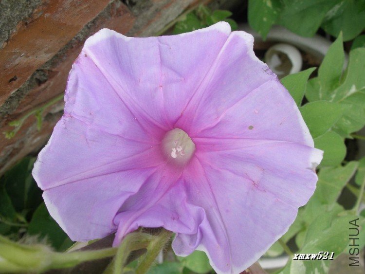 ��ǣţ���Խ���ǣţ��