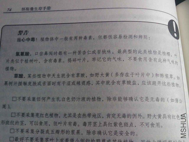 20090611_002.jpg