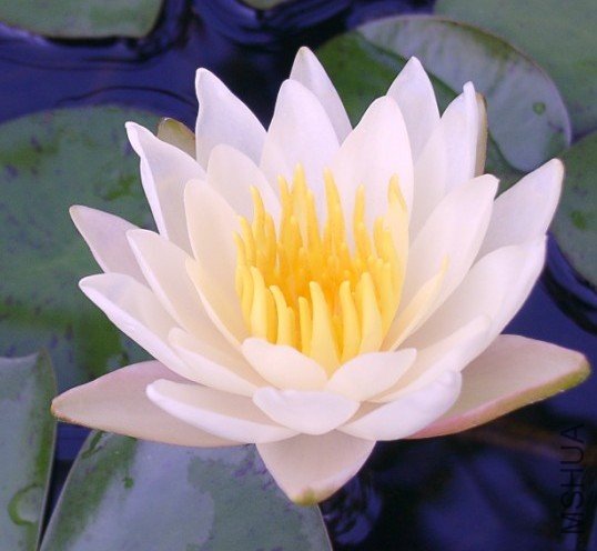 6.4˯��С6 -3.jpg