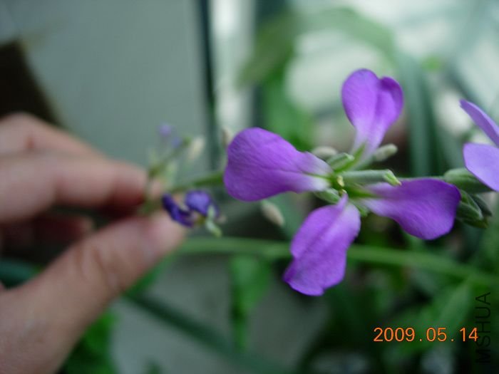 DSCN5253.JPG