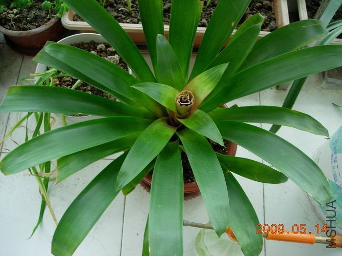 DSCN5254.JPG