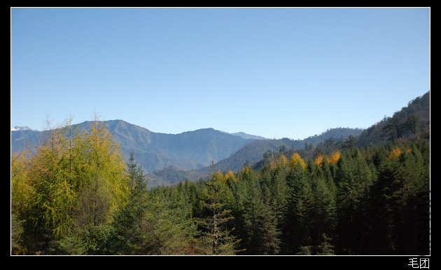 DSC_0064.jpg