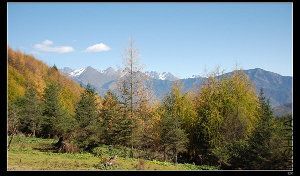 DSC_0066.jpg