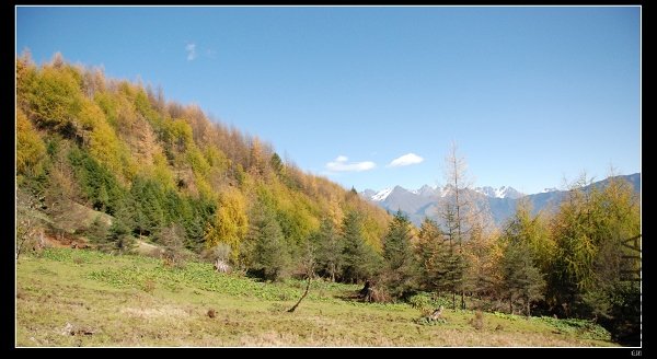 DSC_0065.jpg