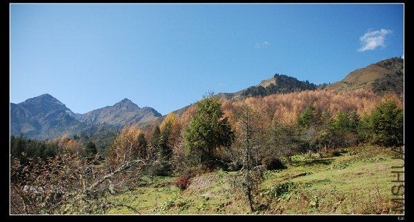 DSC_0068.jpg