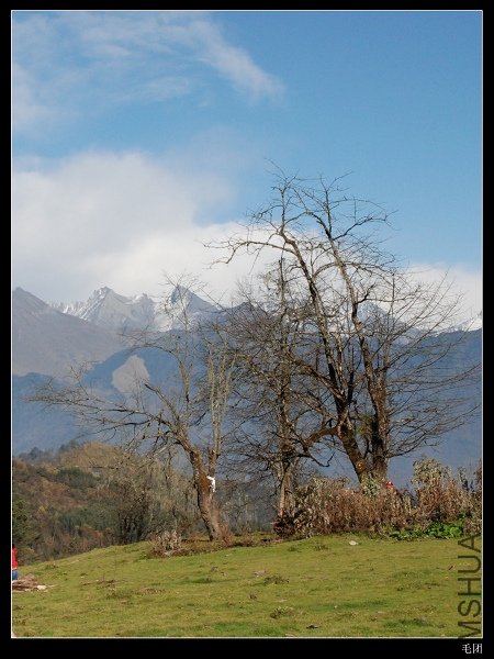 DSC_0093.jpg