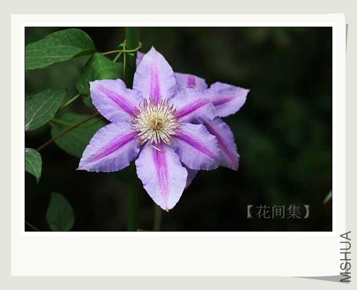 IMG_7346 ����.jpg