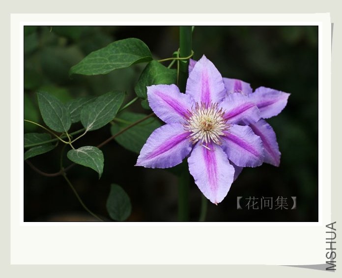 IMG_7347 ����.jpg