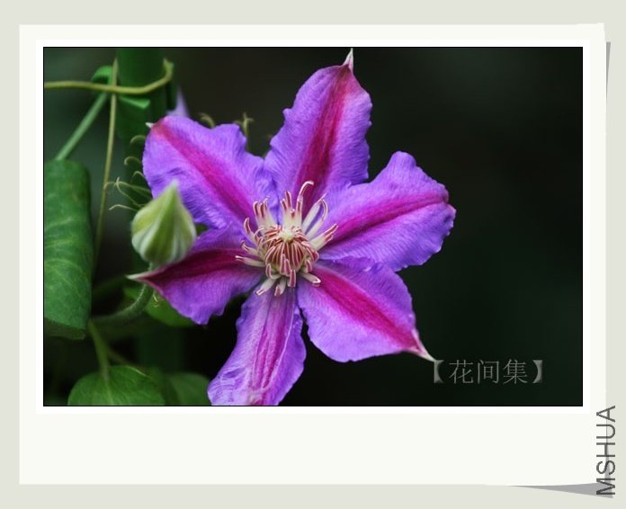 IMG_7309 ����.jpg