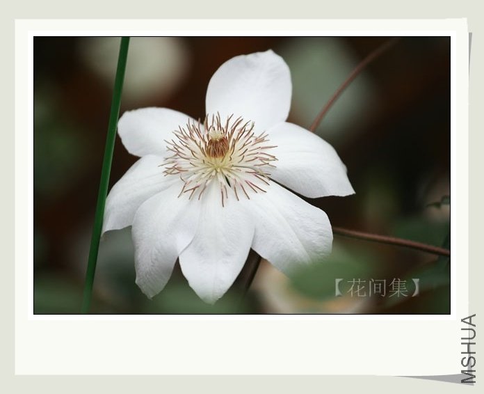 IMG_7384 ����.jpg