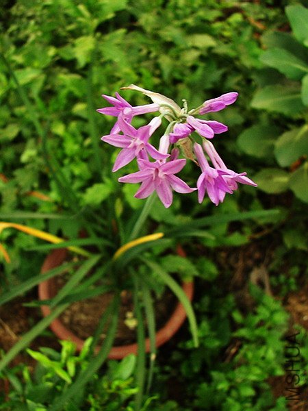 102_6115.jpg