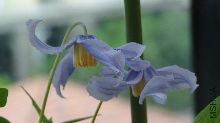 �ӽ����������������䣡