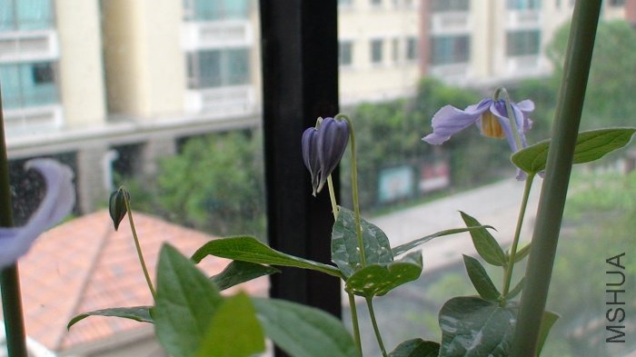 ���տ�����3������һ�𡣡������Ҹо��⾳������