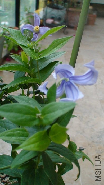 �����Ƕ��ٿ����仨��