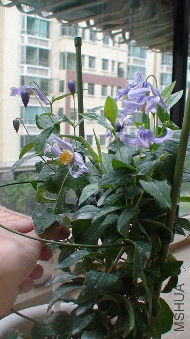 ����6-11�գ�����ϸ�ȫ���հɣ�������˵�����ӱȽϰ�����Ҳ���Ƚ�С���ڴ�����ı����ˣ�