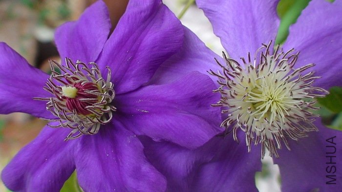 ����Ļ����ٶԱ�һ�£������������ɫ��ͬ��������Ҳ��һ����