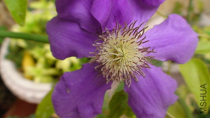 �����ϻ��Ļ����һ���ɣ�